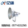 ZY8300只專注照明CNT9150A·ZY8300投光燈