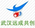 中國武漢遠成共創(chuàng)科技有限公司