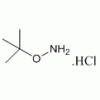 O-叔丁基羥胺出現被限制詞語  39684-28-1