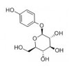 供應(yīng)熊果苷  497-76-7