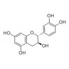 供應(+)-兒茶素  225937-10-0