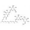 供應西紅花苷  42553-65-1