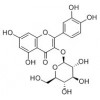 供應異槲皮苷  21637-25-2