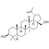 白樺脂醇性質(zhì)   白樺脂醇供應