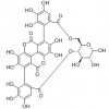 供應(yīng)石榴皮鞣素  65995-64-4