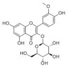 供應(yīng)異鼠李素-3-O-葡萄糖苷