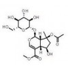 供應(yīng)8-O-乙酰山梔苷甲酯  57420-46-9