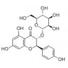 供應(yīng)黃杞苷  572-31-6