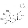 供應(yīng)新穿心蓮內(nèi)酯  27215-14-1