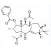 供應千金子二萜醇二乙酰苯甲酰酯