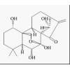 供應冬凌草甲素  28957-04-2