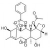 供應10-脫乙酰巴卡亭  32981-86-5