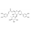 供應異類葉升麻苷  異毛蕊花糖苷  61303-13-7