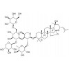 供應酸棗仁皂苷A  55466-04-1