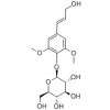 供應紫丁香酚苷  118-34-3