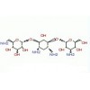 單禁發 硫酸卡拉霉素